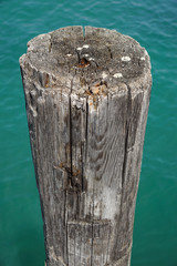 Old pier poles © steuccio79