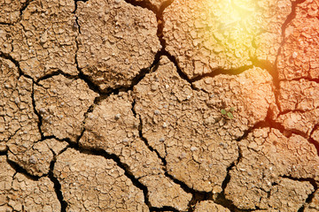 Texture cracked, dry the surface of the earth. Earth turned into