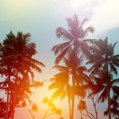Fototapeta na wymiar Beach resort on the sea with palm trees