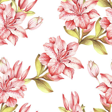 Seamless pattern with flowers. Hand draw watercolor illustration