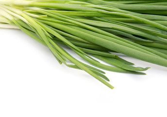 Green Onion