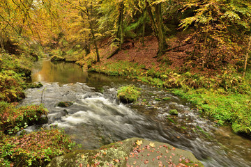 Beautiful autumn landscape of Czech Switzerland at the river