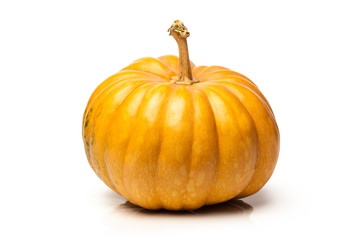 Pumpkin isolated on white background