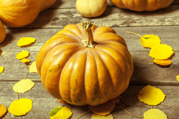 pumpkins on wooden board