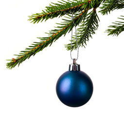 christmas ball hanging in branch isolated on white