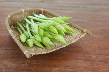 Moon flower on the wicker baskets with the clear light.