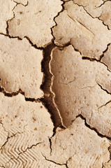 cracked ground