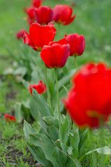  Nature in the city park