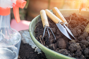 garden tools on the bonsai pots.