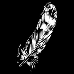 Hand-drawn vector feather, ink handpicked