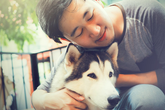 Young Asian Male Dog Owner Hugging And Embracing The Husky Siberian Dog Pet With Love And Care