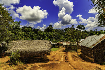 Fototapeta na wymiar Village in Surinam