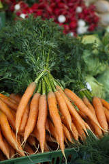 Fresh carrot on local market