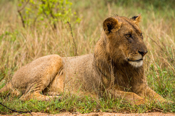 Afrika/Africa National Park