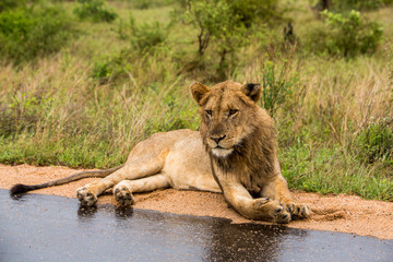 Afrika/Africa National Park