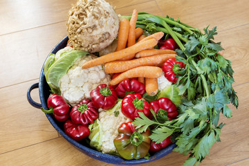 autumn vegetables ,carrots, cauliflower ,bell peppers and celery