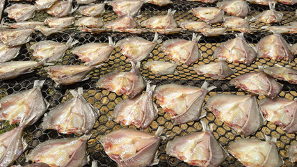 Fish drying in the sun