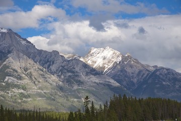 Fototapeta na wymiar Canadian Rockies