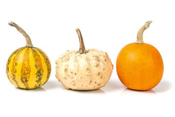 three decorative pumpkins isolated on white background
