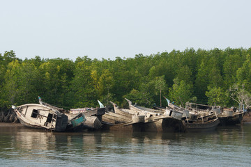 Boat wreck with Mangroves.
