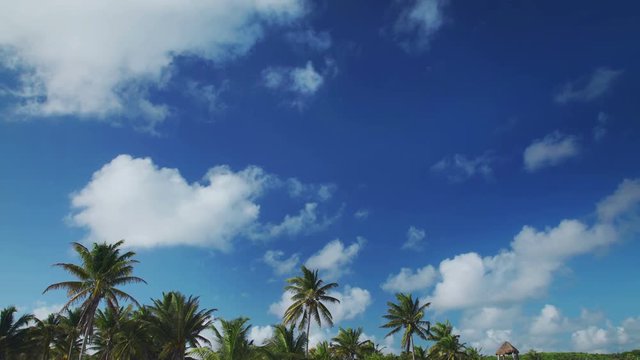  Tropical beach sky with palm trees on the horizon 