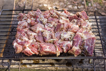 Close-up photo of meat on grill