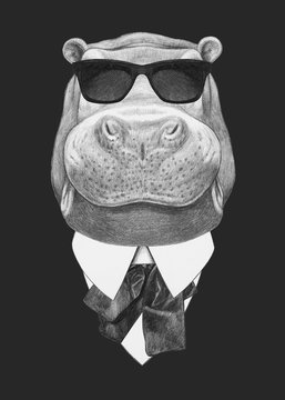 Portrait of Hippo in suit. Hand drawn illustration.