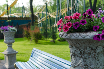 Wooden bench in the park
