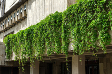 View to the city theatre