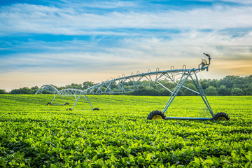Irrigation System at Sunset