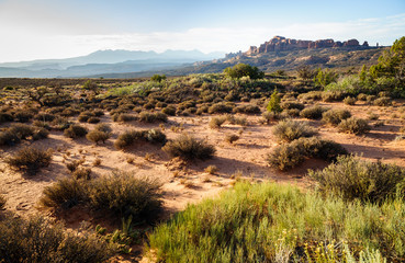 Arches National Park