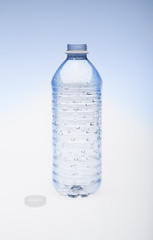 Empty Water Bottle With Cap