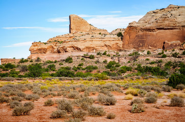 Fototapeta premium Canyonlands National Park