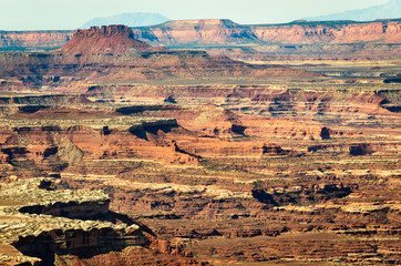 Fototapeta premium Canyonlands National Park