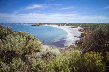 Fototapeta na wymiar Coast with beaches at the Great Ocean Road in Australia