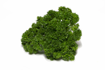Obraz premium parsley isolated