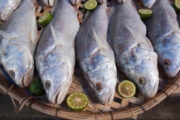 Fish variety at the thai market.
