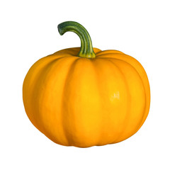 Pumpkin