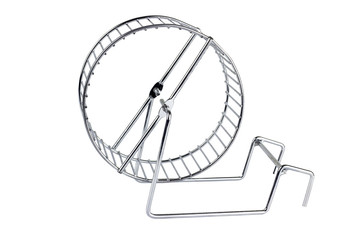 Silver hamster wheel on white background