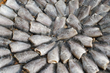Dried fish expose to sun, Food background