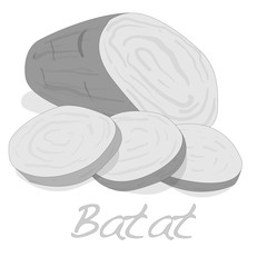 Batat, sweet potato vector