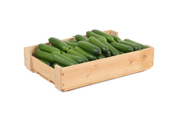 Gurken in einer Kiste