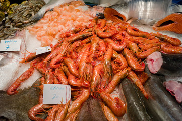 Fish for Sale