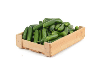 Gurken in einer Kiste