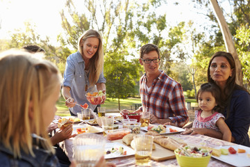 Two families having a picnic in a park, woman serving