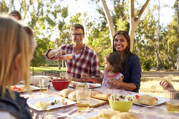 Two families having a picnic in a park, man passing food