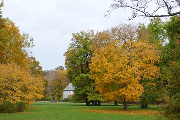 Park an der Ilm/Weimar im Herbst mit Blick auf Goethes Gartenhaus 