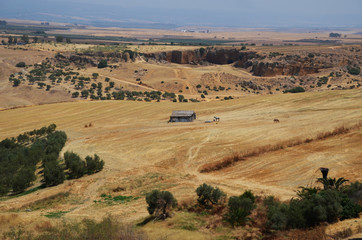 Obraz premium Desert landscape