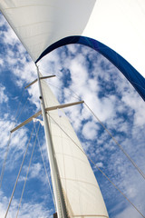 Fototapeta premium the sail of the yacht on blue sky background