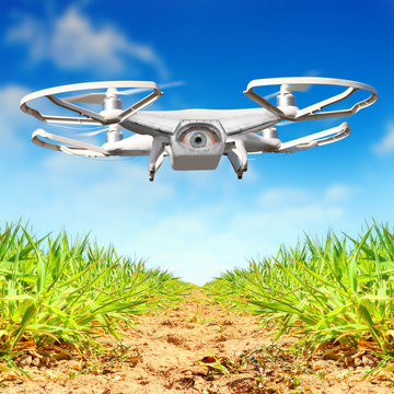 Drone flying over plantation. New tool for farmers use drones to inspect of cultivated fields. Modern technology in farming. Digital artwork of fictional vehicle on agriculture theme. 